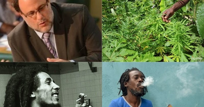 My Thoughts On Technology And Jamaica Dangerous Drugs Amendment Act 2015 Now Law How